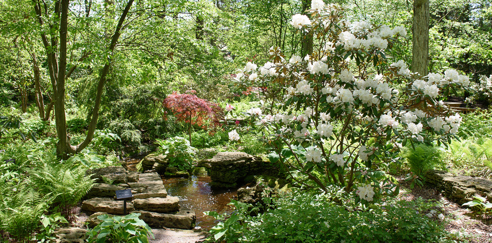 Toledo Botanical Garden, United States